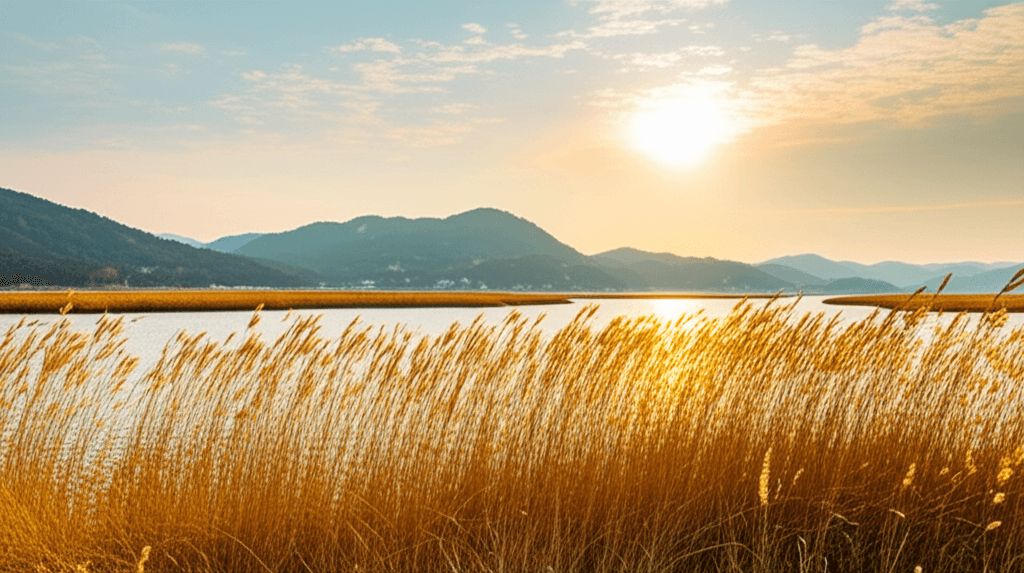 순천 순천만 습지 - 완벽한 주말 나들이 가이드